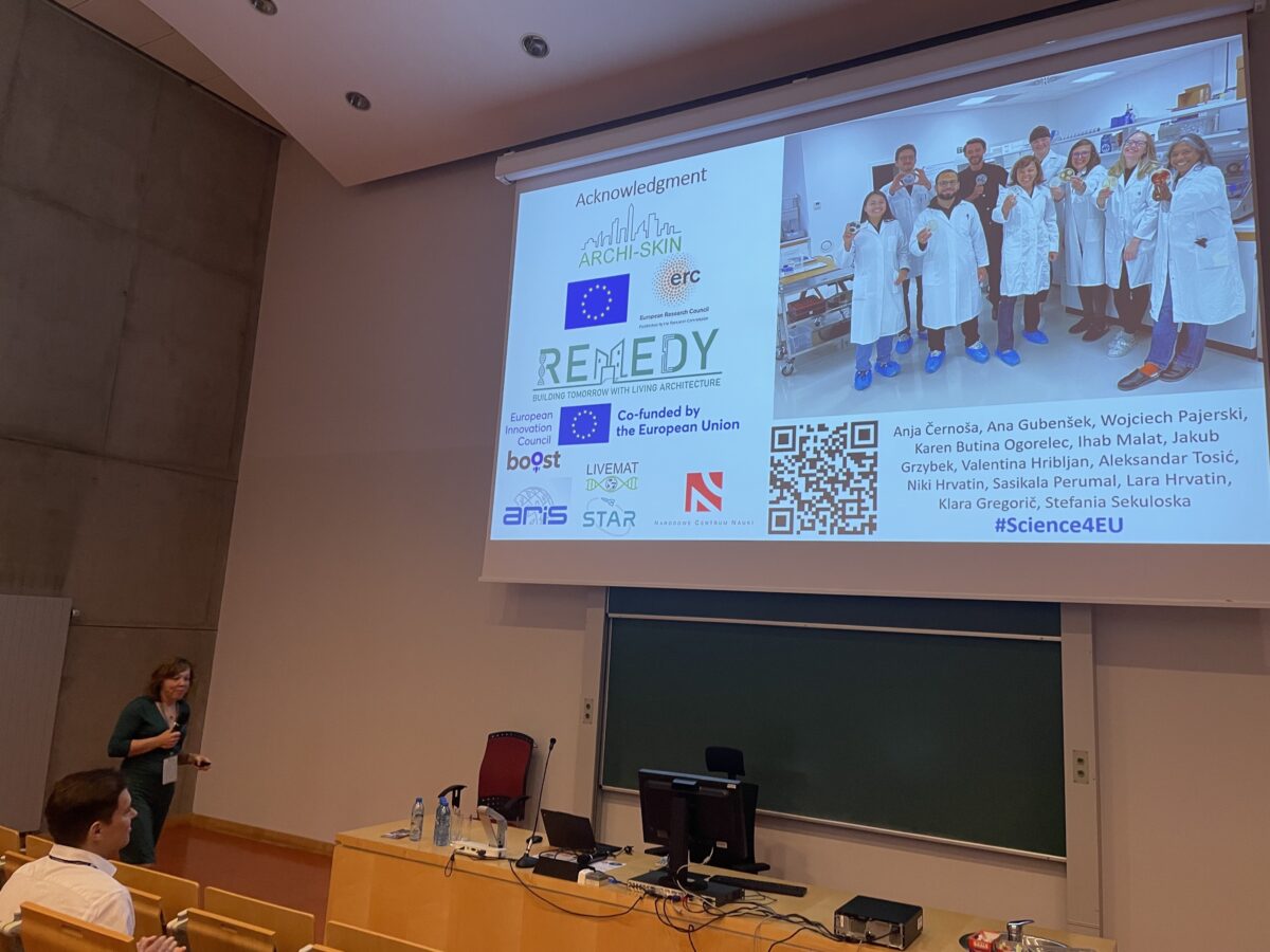 photo of the presentation